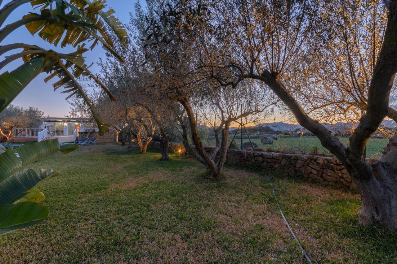 Hébergement de vacances Yupihome Finca Sa Murada Alcúdia